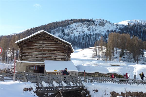 Sils Maria - Val di Fex (CH)