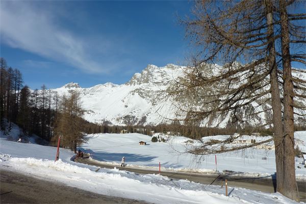 Sils Maria - Val di Fex (CH)