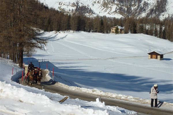 Sils Maria - Val di Fex (CH)