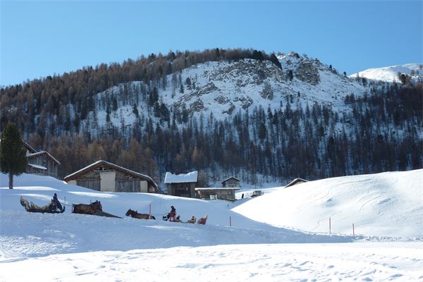 Sils Maria - Val di Fex (CH)