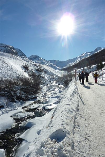 Sils Maria - Val di Fex (CH)