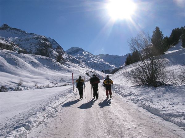 Sils Maria - Val di Fex (CH)