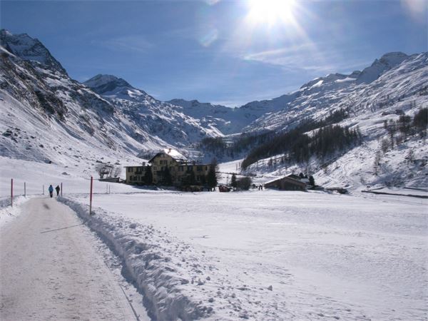 Sils Maria - Val di Fex (CH)