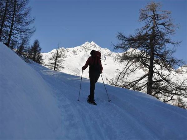 Val Febbraro - (SO)