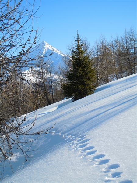 Val Febbraro - (SO)