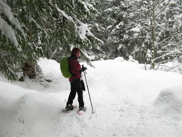 Val di Mello (SO)