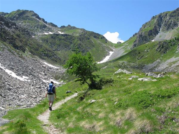 Rif. Carestia - Val Vogna (NO)