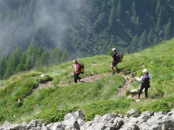Rif. Carestia - Val Vogna (NO)