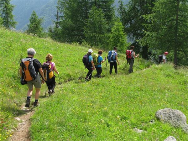 Rif. Carestia - Val Vogna (NO)