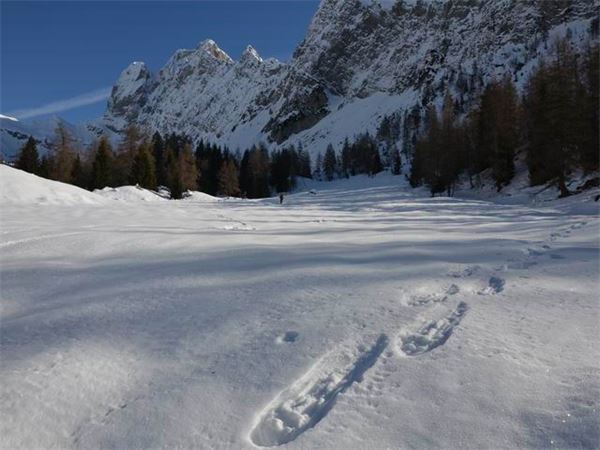 Val Zurio – Val Seriana (BG)