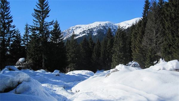 Val Zurio – Val Seriana (BG)