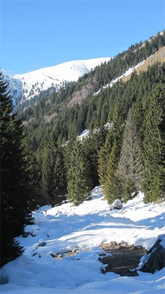 Val Zurio – Val Seriana (BG)