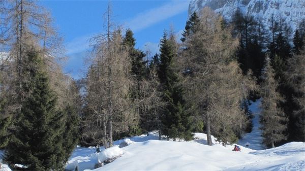 Val Zurio – Val Seriana (BG)