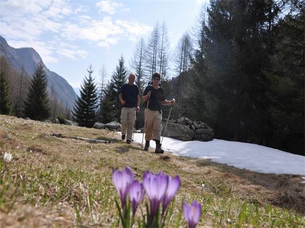 Val Bodengo (SO)