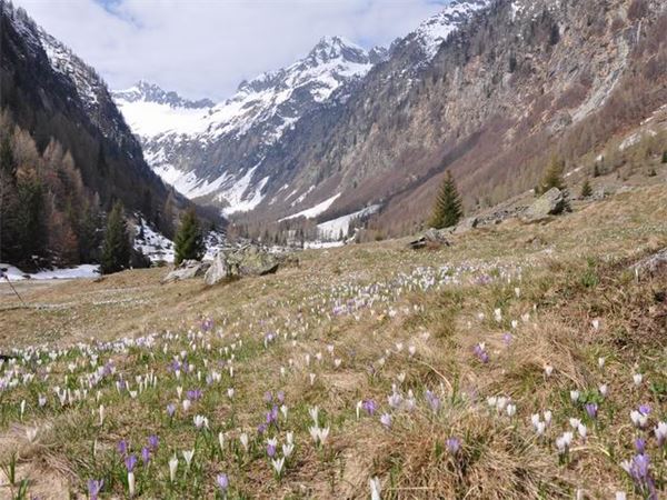 Val Bodengo (SO)