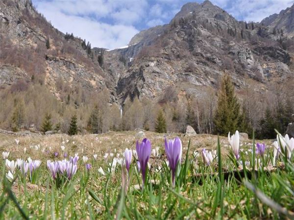 Val Bodengo (SO)