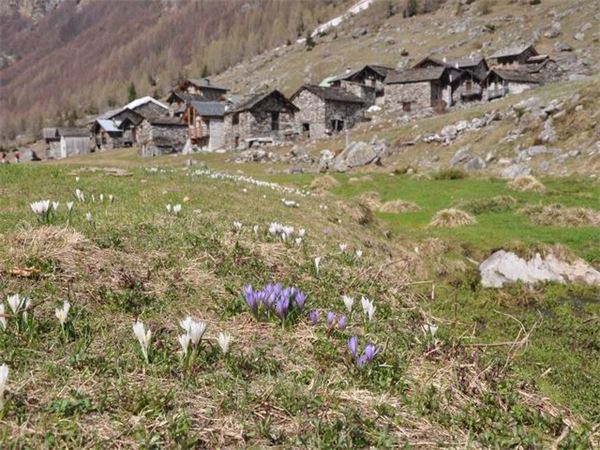 Val Bodengo (SO)