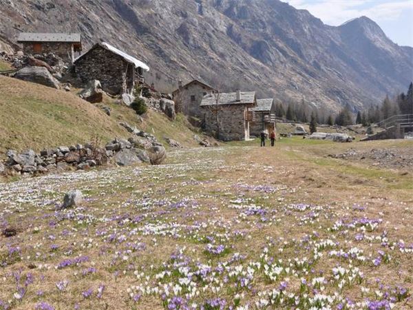 Val Bodengo (SO)