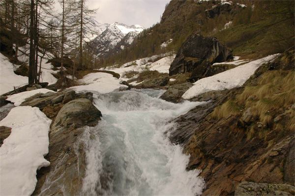 Rif. Carestia – Val Sesia (VC)