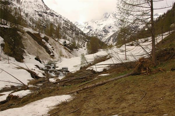 Rif. Carestia – Val Sesia (VC)