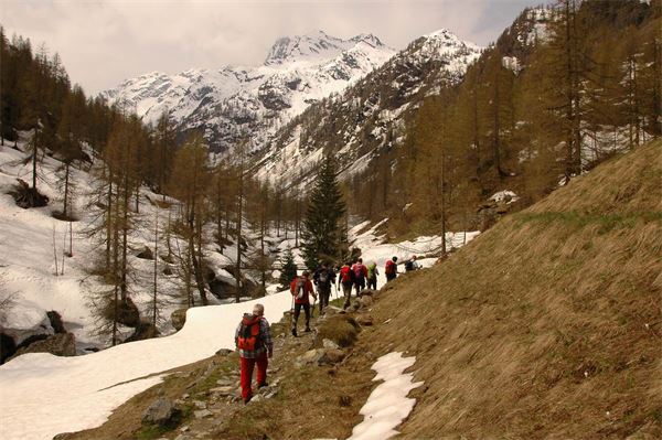 Rif. Carestia – Val Sesia (VC)