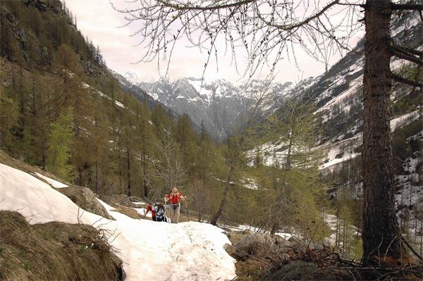 Rif. Carestia – Val Sesia (VC)