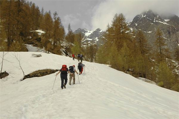 Rif. Carestia – Val Sesia (VC)