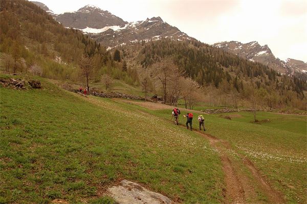 Rif. Carestia – Val Sesia (VC)