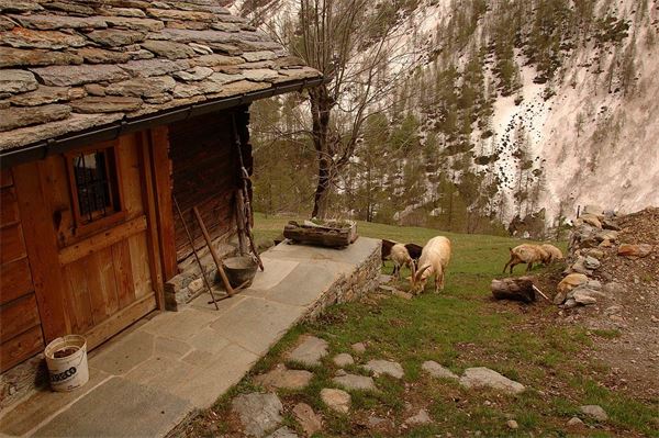 Rif. Carestia – Val Sesia (VC)