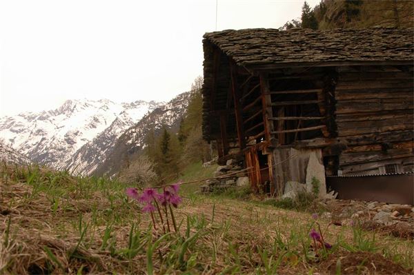 Rif. Carestia – Val Sesia (VC)