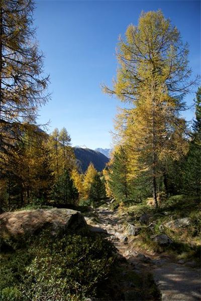Valle di Campo (SO)