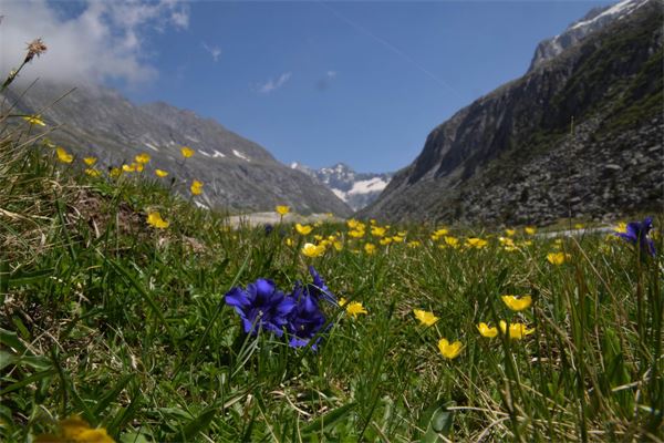 Valle Adamè (BS)