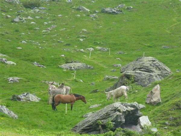 Valle del Gleno (BG)