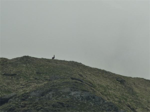 Valle del Gleno (BG)