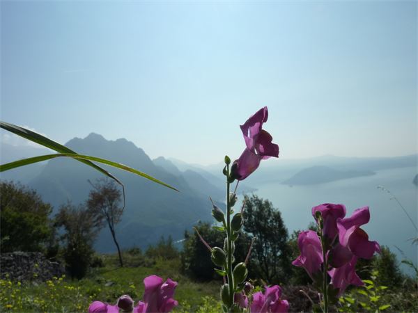 Valle del freddo (BS)