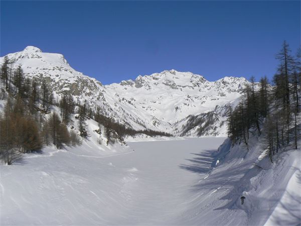 Alpe Devero (VB)