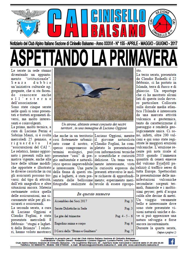Copertina 2° trimestre 2017